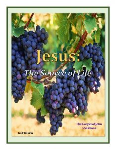 Jesus Source of Life Abridged Cover