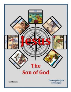 Jesus The Son of God Seven Signs Cover
